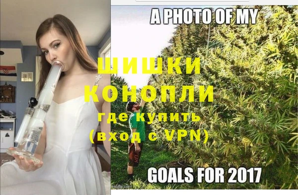 хмурый Белокуриха
