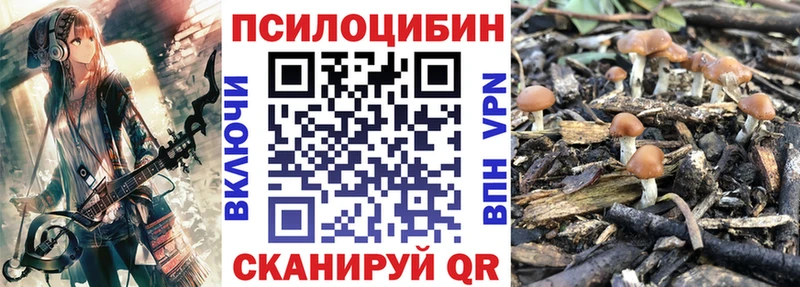 Псилоцибиновые грибы мицелий  OMG как зайти  Чехов 